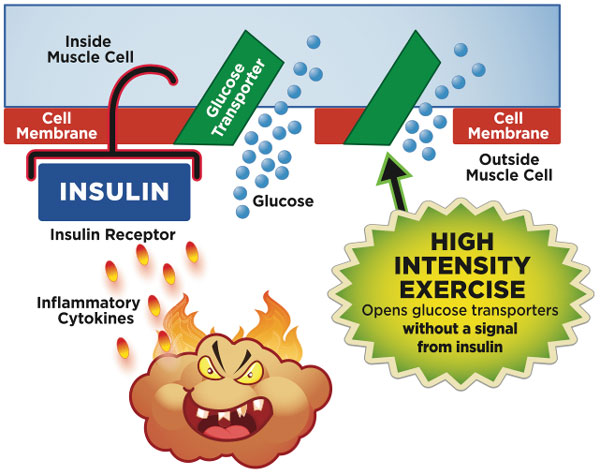 Bypassing Insulin Resistance Diagram