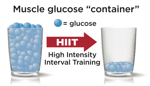 Muscle Glucose Container Diagram