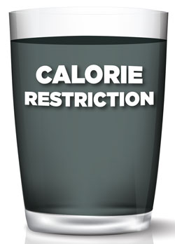 Calorie restriction with IF contributes to your daily Stress Cup