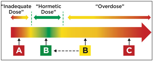 This is a day when your stress cup is filled with other sources of stress such as poor sleep, social stress, or high levels of exercise.   The length of your fasting this day has to be reduced (to the area of the green”B”). If you did the same length of fasting you did in the first example (yellow “B”) you would “overdose” fasting and overfill your stress cup. On especially high stress cup days, fasting periods should not be attempted.