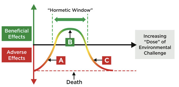 Hormetic Window Chart